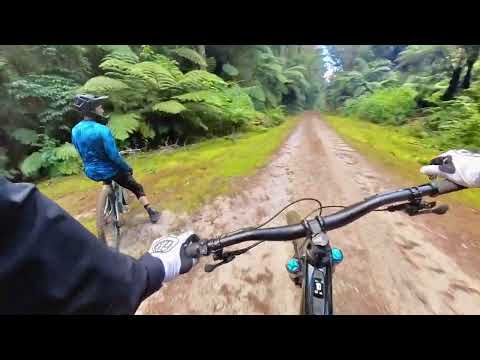 Kung Fu Walrus - Isma on board!