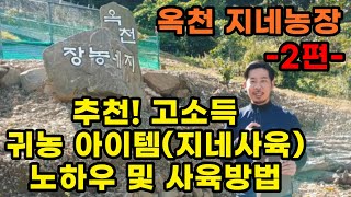 귀농,귀촌 추천 작물 및 아이템 (지네로 고소득 창출이 가능하다?) - 2편