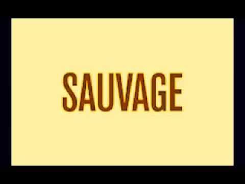 WARZEN - SAUVAGE Ft. KELYSS & BADDY