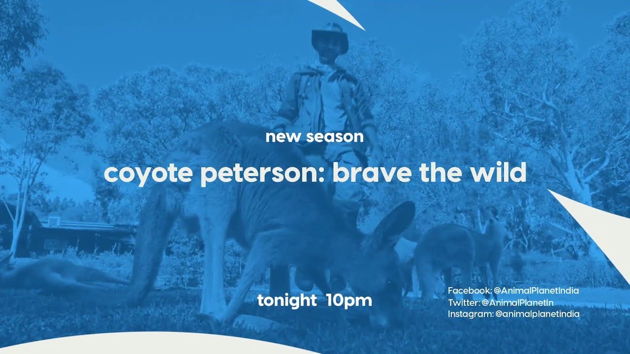 Official Site Shows and Documentary