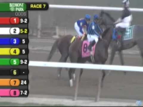 2013 Vosburgh Invitational Stakes - Private Zone