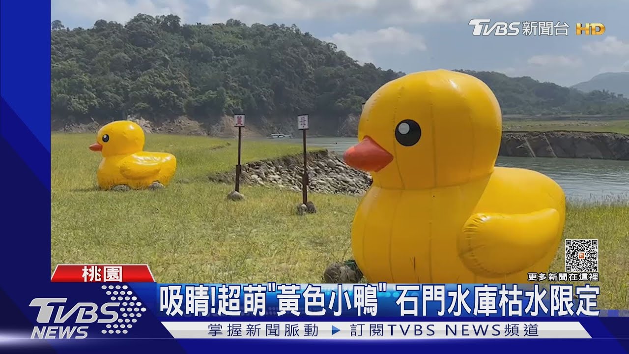 遠眺龜山島!「大福平台」看海景 新打卡點