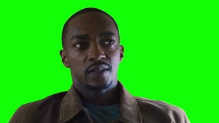 Sam Wilson "he's out of line, but he's right" green screen