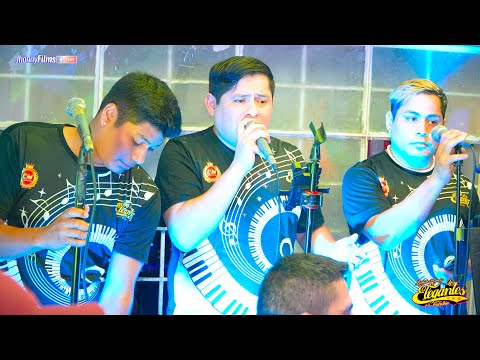 VANIDAD MIX...LOS ELEGANTES DE LA CUMBIA en 4K - FELIZ CUMPLEAÑOS CINTHIA DE CANTO CHICO 2024