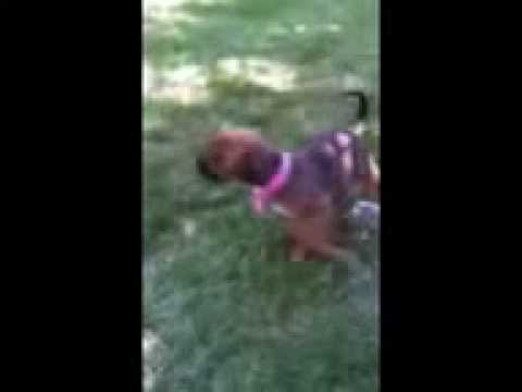 Anthony's BooBooHead!