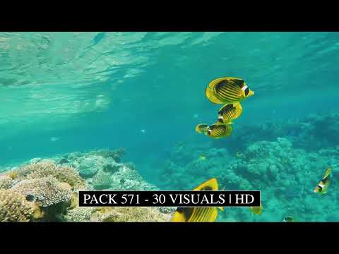 Pack 571  - 30 Visuals | HD