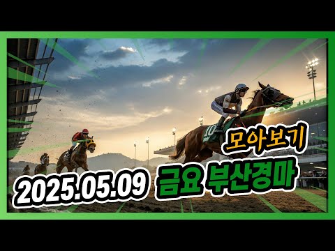 2025년 5월 9일 금요 부산경마 전체경주 모아보기