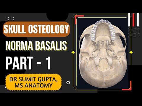 NORMA BASALIS ( Part : 1/3 )