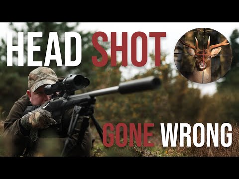 The Truth About Head Shots