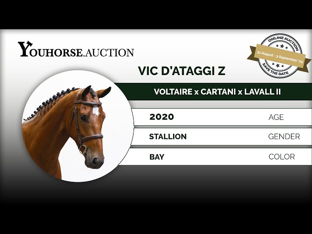Vic d'Ataggi Z