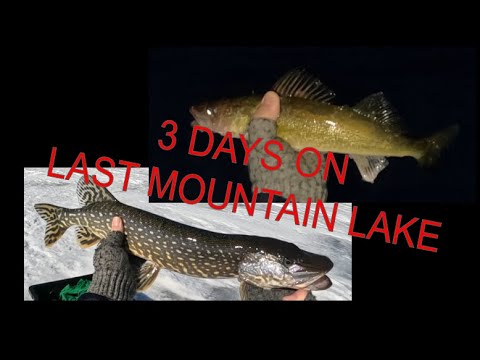 3 Days Ice Fishing on Last Mountain Lake