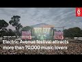 Electric Avenue festival attracts more than 70,000 music lovers | 24 February 2025 | RNZ