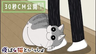 アニメ『夜は猫といっしょ』放送直前！30秒CM【8/3(水)より放送＆配信スタート！】