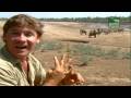 The Crocodile Hunter 01 Abenteuer In Sambia 04 10