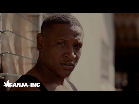 Boechi - Mi Foutnan (Official Video)