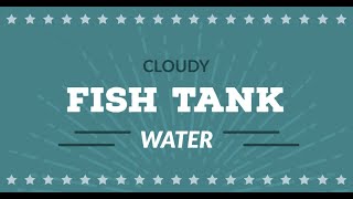 Why Is My Fish Tank Water Cloudy: WATCH BEFORE CLEANING CLOUDY TANK WATER
