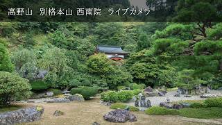 高野山 西南院 庭園