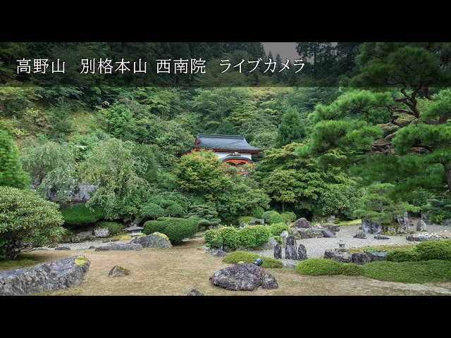 高野山 西南院 庭園