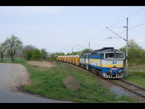 Cargo brejlovci Vyškov na Moravě [2014]