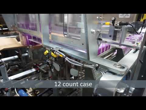 WP 25 Wraparound Case Packer, Cartons of Raisins - BW Integrated Systems