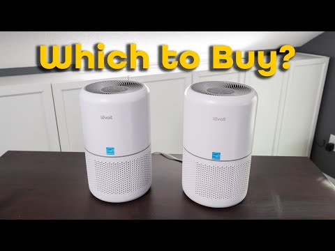 Which to Buy? Levoit 300P vs 300S P Smart and Standard Air Purifier Comparison