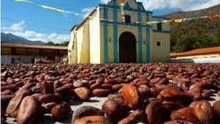 preview picture of video 'Programa DesCubiertos - El Cacao (2/2)'