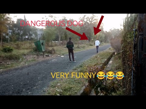 Challenging the dog🤣🤣🤣||#Very funny#Like and subcribe