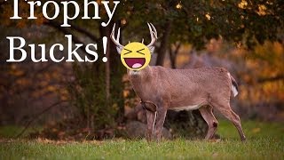 Cabela's Trophy Bucks - Just Awful