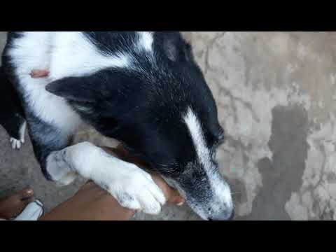 Jacky every morning ❤