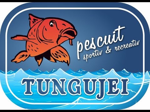 Prezentare Tungujei 1