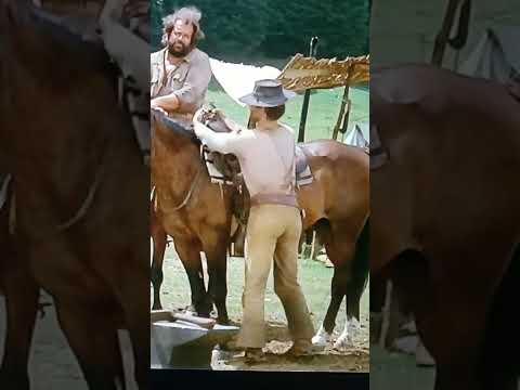 #TBT Favorite horse mount 😍 "They Call Me Trinity" #westerns #trinity #oldwest