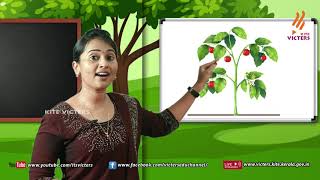 Standard 4 | Environmental Studies | Class – 10