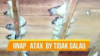 Download lagu SI. INAP ATAX TIDAK GALAU   (LINK LANGSUNG DOWNLOAD MP3  DI DESKRIPSI DIBAWAH INI) mp3