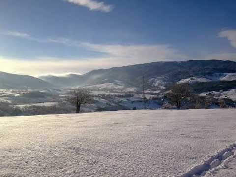 Djevojka sokolu zulum učinila - ĆANA.wmv