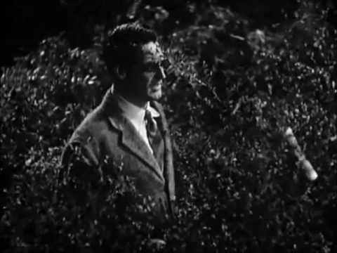 Bringing up the baby trailer