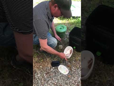 Niklas demonstrerar bokashi-kompostering