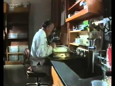 Am Anfang war das Wasser - Planet des Lebens - Teil 3