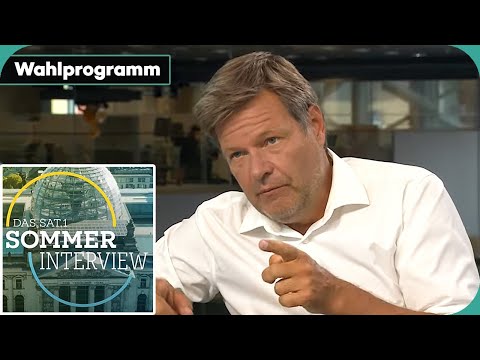 Straffes Wahlprogramm: Fehlt das nötige "Kleingeld"? | Sommerinterview | Bundestagswahl 2021 | SAT.1