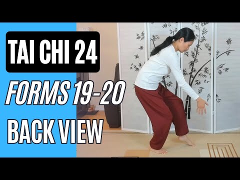 Tai Chi 24, Forms 19-20 Needle at the Sea Bottom & Fan the Back in Back View
