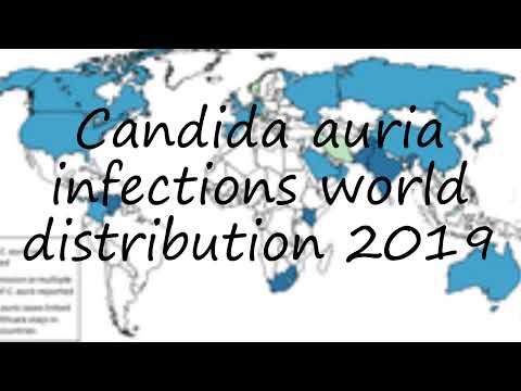 How to pronounce Candida auria infections world distribution 2019 in English?