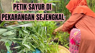 TERNYATA SAYA MELAKUKAN KESALAHAN KONYOL