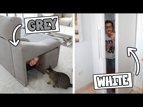 Hide and Seek in Your Color!