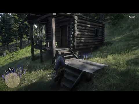 Red Dead Redemption 2 - Why was my horse spooked...?
