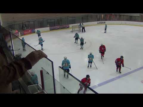 Vipers U14 - Pelicans White U14  2:1 (0:1,1:0,1:0)  15.04.2018