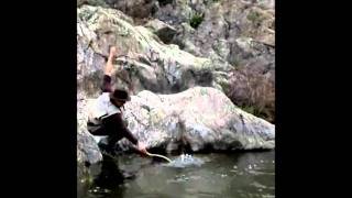 Capturando una trucha fario en el río Aceña