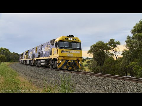 Pacific National 4PM6 Louvre Vans & Containers (14/11/2020) - PoathTV Australian Trains & Railways