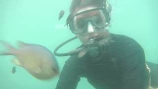 preview picture of video 'scuba diving in tarkarli 09665514055'