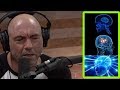 Joe Rogan On How To Be A Smarter Person
