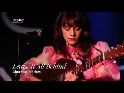 Play Video Youtube Video