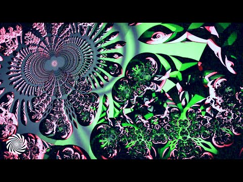 Neutron - Murmurations